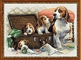 RIOLIS 1328 - Canine Family - Counted Cross Stitch Kit 15¾