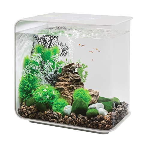 biOrb Flow 30 Aquarium with LED – 8 Gallon, White