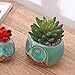 MyGift Small Owl Ceramic Succulent Planter, Flower Pot Vase, Turquoise & Brown
