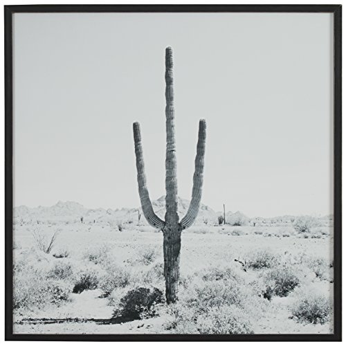 Modern Black and White Desert Cactus Photo on Wood, Black Frame, 20" x
20"