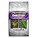 Pennington One Step Complete Bare Spot Repair Grass Seed Mix For Dense Shade Areas, 8.3 lbs primary