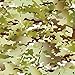 Lm Gi Joe Military Camo Hydrographic Water Transfer Film Hydro Dipping Dip