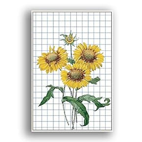 Framed Canvas Wall Art Beautiful Flowers in Grid Giclee Print Gallery Wrap Modern Home Prints Ready to Hang - 16x24 inches