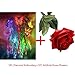 Alonea DIY 5D Diamond Painting Embroidery Cross Crafts Stitch Home Decor (1PC Diamond Embroidery+1PC Artificial Roses Flowers)