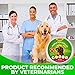 Pawstopia Flea Collar for Dogs - Best Protection Vet Recommended Hypoallergenic Waterproof - Adjustable Flea and Tick Prevention for Dogs - Natural Prevention from Fleas Ticks Larvae Treatment