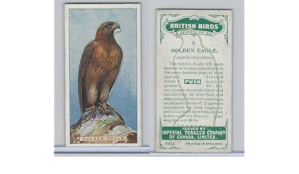 C4 Imperial Tobacco British Birds 1923 9 Golden Eagle At