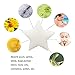 IdentikitGift Scum Star Oil Absorbing Sponge 2017 New Design Perfect for Collecting Oil, Scum, Slime, Grime, Lotion, Pollen & Bugs from Swimming Pool, Spas, Hot Tubs and SPA Tub (Pack of 4)