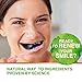 Teeth Whitening Charcoal Powder Natural - Activated Charcoal Teeth Whitening Kit – Teeth Whitener (30g)