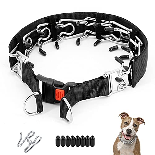 adjustable prong collar