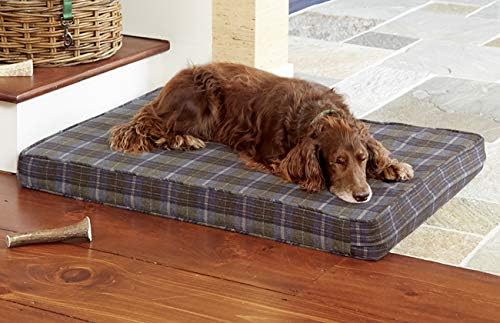 platform dog bed