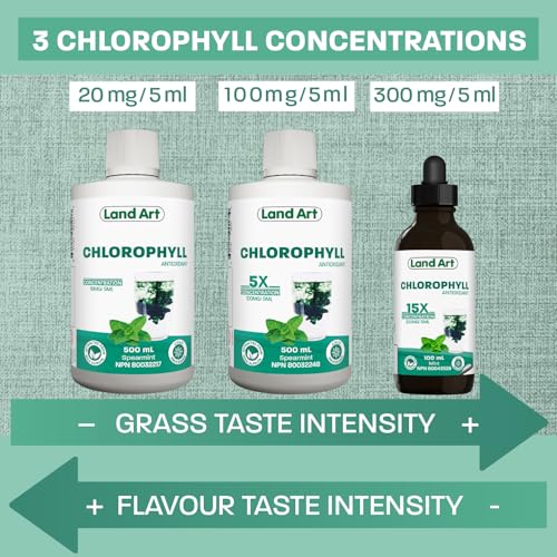 Liquid Chlorophyll Drops Unflavoured 15X Concentrated 100ml – Cold Extracted from Non-GMO Alfalfa - Detox - Alkaline - Natural Body Deodorant – Antioxidant - Made in Canada