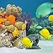 Miracliy Aquarium Decorations Fish Tank Decorations Aquarium Decorationsthumb 4