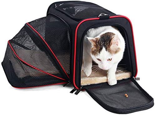 cat transportation bag