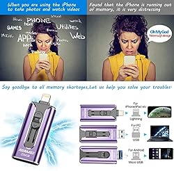 Flash Drive for iPhone 256GB, AUAMOZ USB iOS Memory