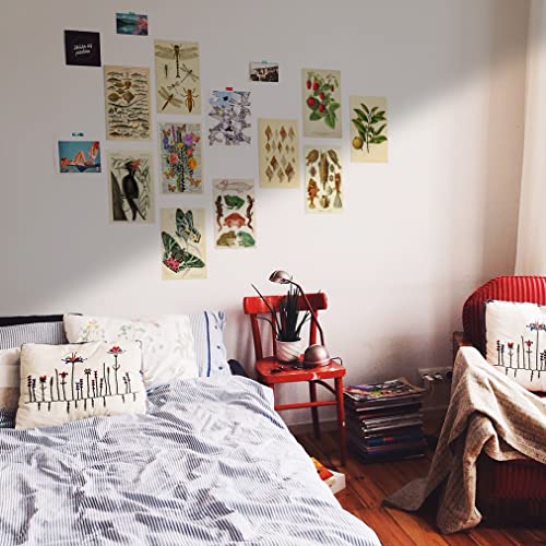 HK Studio Vintage Botanical Wall Art Decal for Dorm, Teen Room Decor