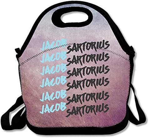 Jacob Sartorius Lunch Box Bag For Student Kids Adult Men Women Girl Boy,lunch Tote Lunch Holder With Adjustable Strap ,double Shoulder