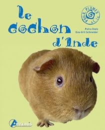 Le  cochon d'Inde