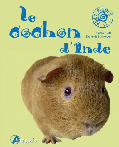Le  cochon d'Inde