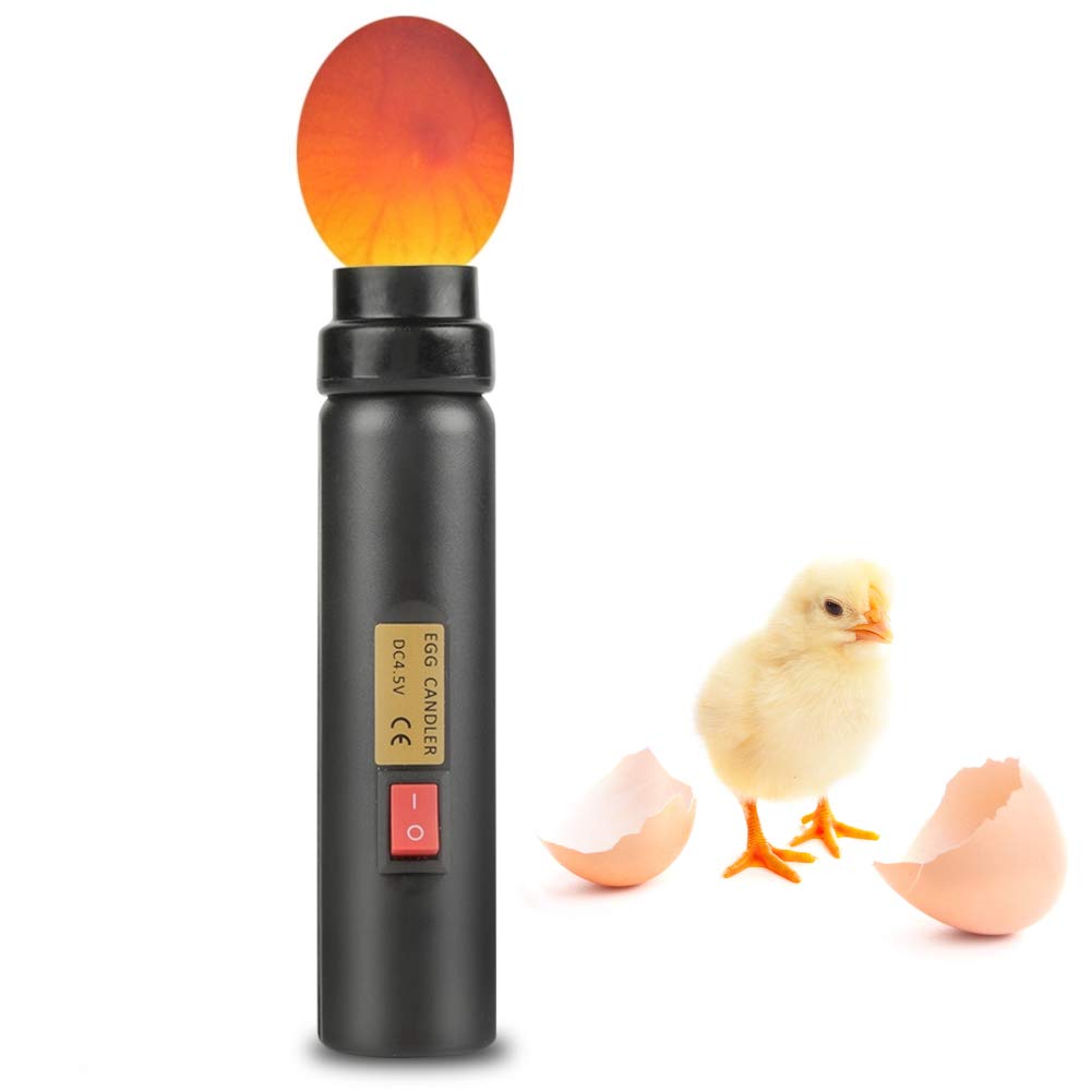 ZJchao LED Light Egg Tester for Hatching Eggs, Chicken Breeding Fertilized Eggs Incubation Tool for Students and Kids to Observe Embryo Development Process