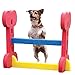 Agility Hurdle - Dog play & exercise toy
