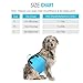 Pawaboo Dog Support & Rehabilitation Harness, Dog Lift Canines Aid Assist Sling for Disabled, Injured, Elderly Pets Dogs, Help with Mobility to Stand Up, Climb Stairs and More, Large Size, Blue
