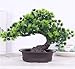 Simulated Welcome Pine Tree Artificial Welcoming Pine Bonsai Fake Potted Plant Ornament Potted Artificial Bonsai Tree Simulation Pine Plant Decoration Home Office Desktop Display Garden Decor (5#)