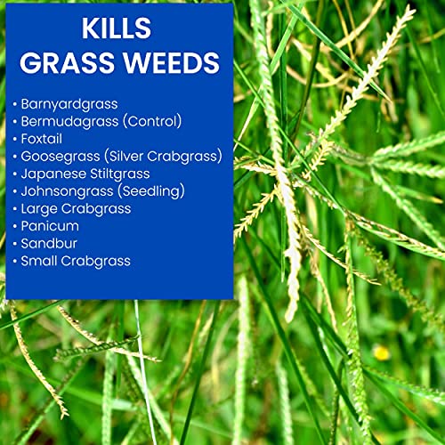 BioAdvanced 704100B Bermuda Grass Weed Killer Bermudagrass Control For Lawns, 32 Oz, ReadyTo