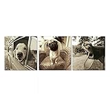 Mon Art Animal Puppy Dogs Portray Modern Canvas Art - 12x12 Inch Framed