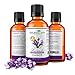 Lavender Essential Oil- 100% Pure Therapeutic Grade by Nature's Own Essence -1oz