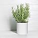 Indoor Round Modern Fiberglass Resin Planter Pot with Drainage Hole and Plug, 10 inch, Matte White, 96-G-1-L
