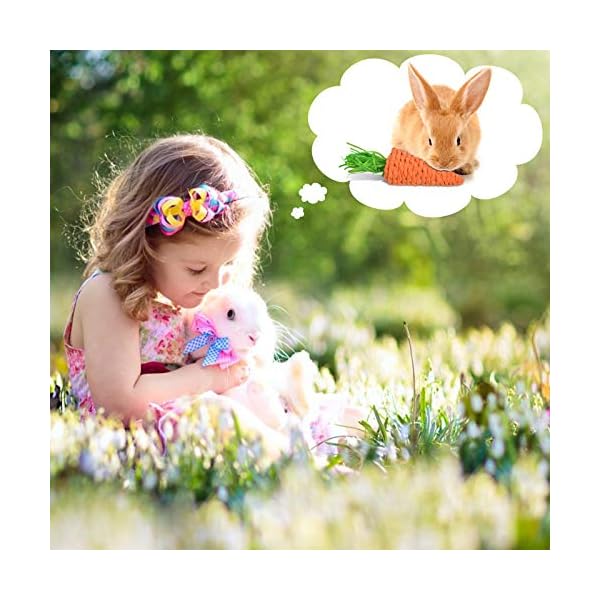 ERKOON-Rabbit-Toys-Hamster-Small-Animals-Treats-Bunny-Chinchilla-Chew-Toy-for-Teeth-Natural-Apple-Wood-Sticks-Boredom-Breaker-for-Guinea-Pigs-Chinchillas-Gerbils-Molar ERKOON Rabbit Toys, Hamster Small Animals Treats Bunny Chinchilla Chew Toy for Teeth Natural Apple Wood Sticks Boredom…