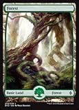 Magic: the Gathering - Forest (270) (270/274) - Battle for Zendikar