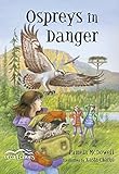 Ospreys in Danger (Orca Echoes) by Pamela McDowell, Kasia Charko