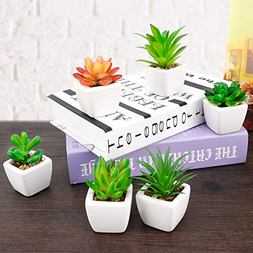 Fake Succulents Small Artificial Succulents Potted Faux Succulents for