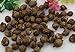 Calla Lily Bulbs, Radiation Absorption, 20 Bulbs (Calla No: 2)