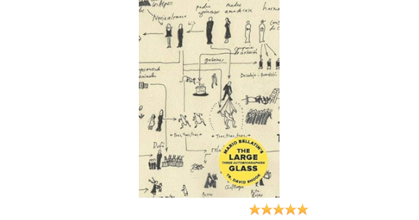 The Large Glass Bellatin Mario Shook David 9781939419491 Amazon Com Books