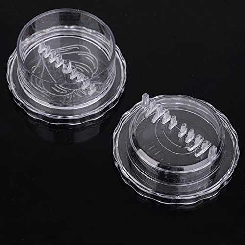 Gotian Helpful Garlic Crusher Grater Plastic Box Twist Peeler Mincer Press Kitchen Kitchen Tool food grade PS plastic material) (Clear)