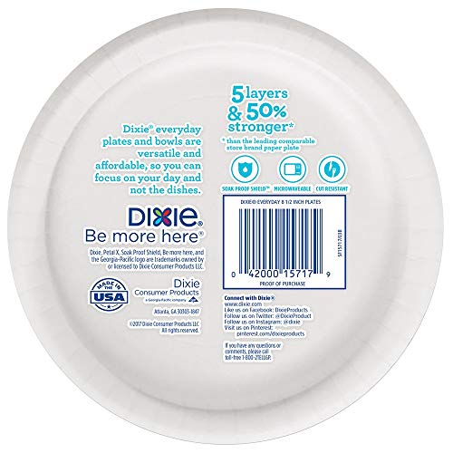2 Dixie+Everyday+Plates+Printed+Disposable