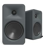 Amazon.com: Kanto SUB8VMG Sealed Powered Subwoofer | 300W Peak