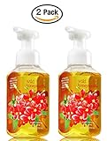 Bath & Body Works Wild Honeysuckle Gentle Foaming Hand Soap - Pack of 2 Honeysuckle scented soaps,8.75 fl oz each