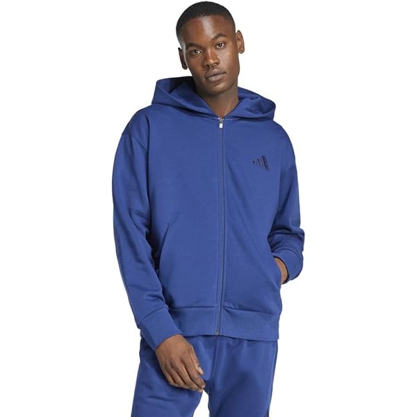 ASICS Tiger Men's Premium Fleece Hoodie, Blue, X-Small at Amazon