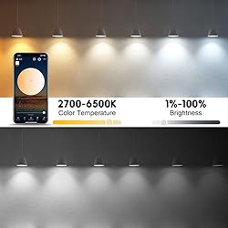 LAPURETE'S Smart Light Bulbs, LED RGBCW Color