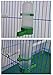Parrot Bird Aviary Pet Cage Canary Drinker Food Feeder Waterer Clip Pet Bird Supplies (L (140 ML))thumb 2