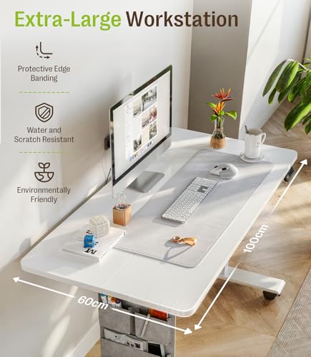 MAIDeSITe Height Adjustable Electric Lift Table, 100 x 60 cm Standing and Sitting Table with Cable Tray, Hook and Storage Pockets, Lift Table with Memory Controller