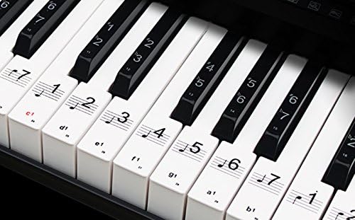 Piano keys stickers - paste/double coating, transparent plastic stickers, suitable for 88/76/61/49 keys, no residue, no damage to the piano … (1)