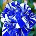 super1798 30Pcs Rare Rose Flower Seeds Garden Decor Perennial Balcony Plant - Blue