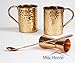 [Gift Set] Moscow Mule Copper Mugs 100% Pure Copper (No Nickel Interior) Moscow Mule Gift Set Includes Two 16 Oz. Pure Copper Hammered Mugs – Double Sided Copper Shot Pourer – Copper Stir Spoon