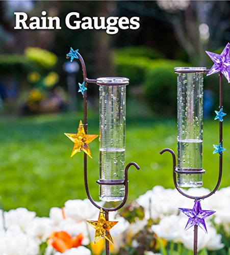 CEDAR HOME Rain Gauge Garden Stake Outdoor Wireless Glass Brass Metal Cute Professional Raingauge for Lawn Yard Patio Star Decpr 8oz. by, 6.5" W x 2.5" D x 36" H