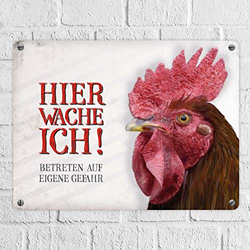 Metallschild mit Hahn Motiv und Spruch: Betreten auf eigene Gefahr - Hier wache ich! – Bild 3