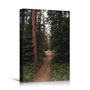 signwin Canvas Wall Art Green Forest Dramatic Forest...